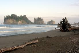 First Beach, La Push, Washington 